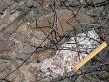 Large Buried Piece   Tangle Creek Onyx